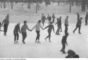 Winter in Dresden, Katzen im Schnee, Treibeis auf der Elbe, Schneetreiben am Postplatz, Frau beim Streuen des Gehweges, Pioniere beim Wintersport: Rodeln, Eislaufen, Eisstockschießen, 1959 - 1963