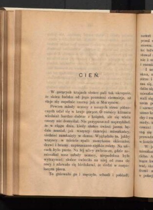 Cień.