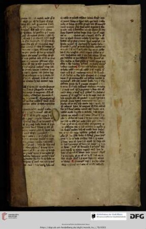 Pergamentmakulatur: Naturwissenschaftlicher Text (13./14. Jh.)