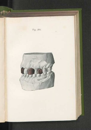 Fig. 201.