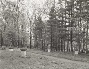Schlosspark