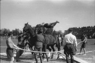 Ploesti: Sportfest