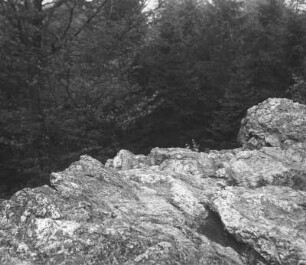 Lausitzer Bergland. Weißer Stein bei Spitzkunnersdorf. Mineralgang im Quarz der Gipfelfläche