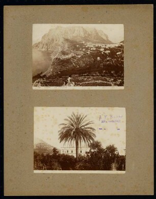 Capri: Blick vom Telegrafenturm und Hotel Pagano (heute: Hotel la Palma)