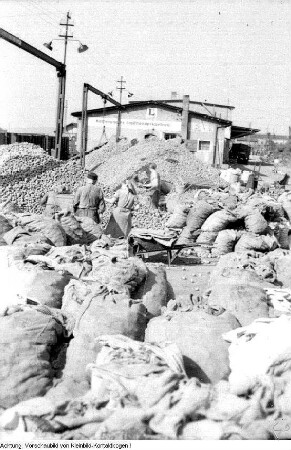 Dresden, Neustädter Hafen. Kommunaler Großhandelsbetrieb, Absacken von Kartoffeln für die Einkellerung, Herbst 1956