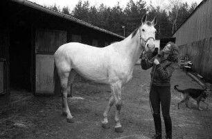 Reitanlage Rosenhof Karlsruhe