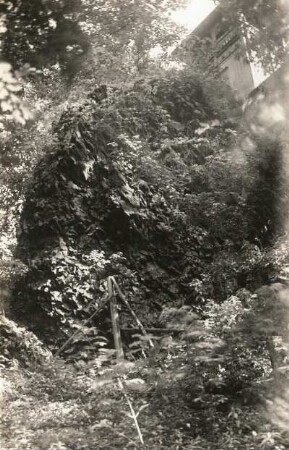 Elbsandsteingebirge. Basalt des Großen Winterberges unterhalb des Gasthauses