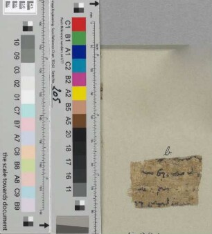 Fragment