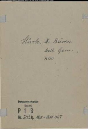 Kirchenbuchduplikat der katholischen Gemeinde Hörste, Kreis Büren (GHT 1868-1874) (Gemeinde: Katholische Gemeinde Hörste, Kreis Büren)