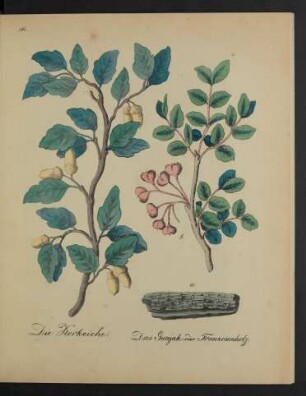 [Tafeln 161 - 165]