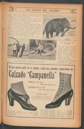 Los restos del mammut