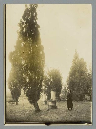 Friedhof in der Lausitz