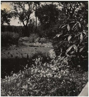 Haus und Garten Mattern, Potsdam-Bornim: Pflanzfläche