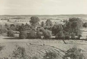 Harz. Bode-Aue bei Weddersleben. Blick von der Straße Quedlinburg - Thale gegen Harzrand