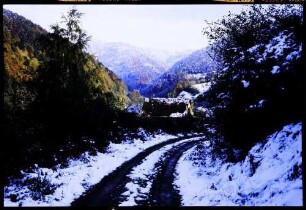 Buchenbach: Waldweg verschneit