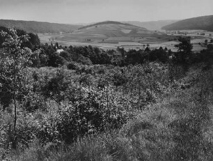 Archivfotografie "neckar_neckarkatzenbach_p571"