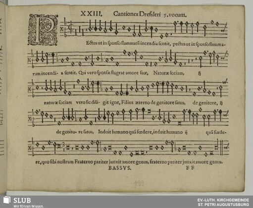 XXIII. Pectus ut in sponso