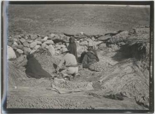 Kartoffellese der Aymara