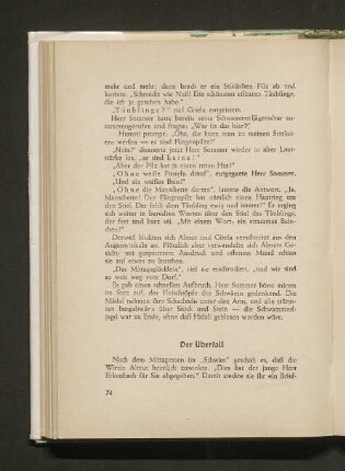 Der Überfall