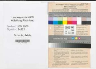 Entnazifizierung Adele Schmitz, geb. 23.06.1906 (Bueroangest.)