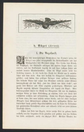 b. Vögel (Aves).