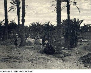 Foto, Memphis, Al Qahirah, Qasr an Nile, Cairo Governorate, Ägypten