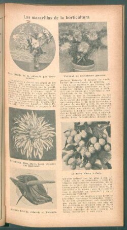 Las maravillas de la horticultura