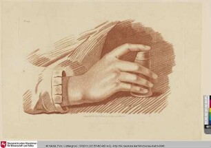 [Handstudie]