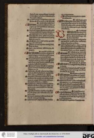 Quod Babilonis filia anima esse dicitur propter lubricas cogitationes filia die esse desinit, de pe. dis. iii cum in salicibus.