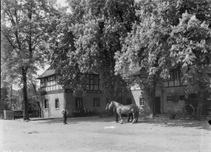 Straßenbild mit Pferden und Fuhrwerken und einem Mann (vielleicht bei Frohburg)