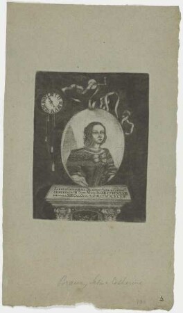 Bildnis der Sabina Catharina Braunin