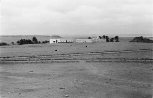 In der Wüste : Blick auf einzelne Gebäude und Palmen in einer Wüste