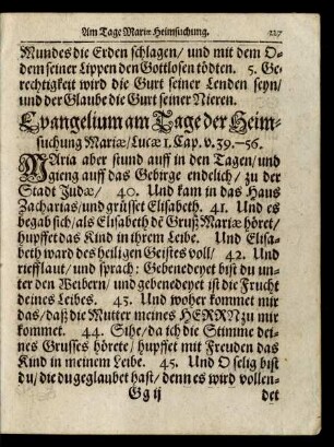 Evangelium am Tage der Heimsuchung Mariae/ ...
