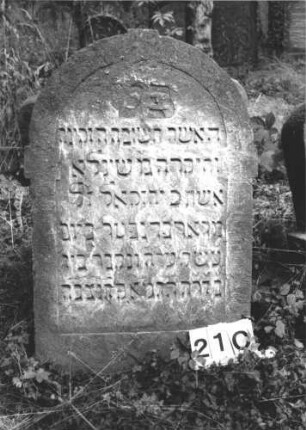 Grabstein 210