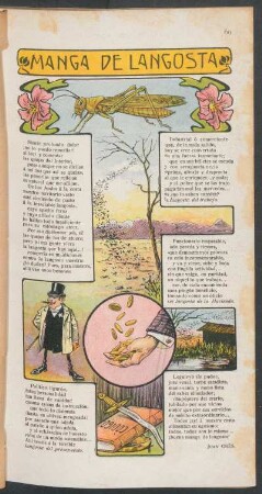 Manga de langosta