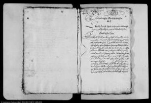 Lehnssachen, Konsense und Konfirmationen