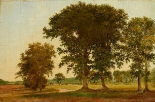 Parklandschaft