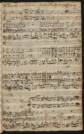 Beatus vir; V (3), strings, bc; d-Moll