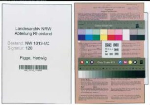 Entnazifizierung Hedwig Figge , geb. 25.12.1907 (Schneiderin)