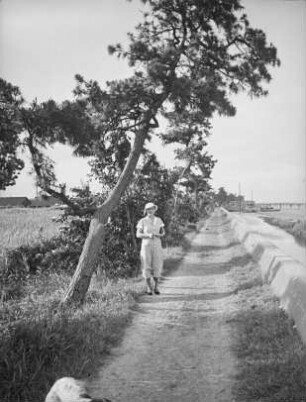 Neulandgewinnung in der Bucht von Tokio : Neulandgewinnung in der Bucht von Tokio. Urbarmachung durch Bepflanzung. Die Frau des Fotografen auf einem Feldweg
