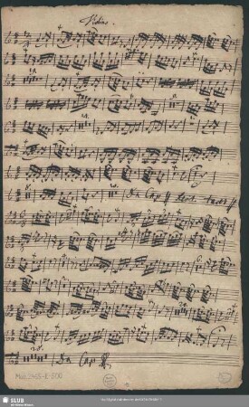 Violino. [Tutti]