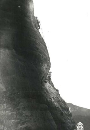 Sächsische Schweiz, Schmilka. Kleiner Falknerturm. Seilschaft Oswald Kunis in der Herrmannswand (VIIb [VIIIa])