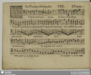 VIII. Te Deum patrem