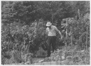 Mann bei der Gartenarbeit (Altersgruppe bis 14)