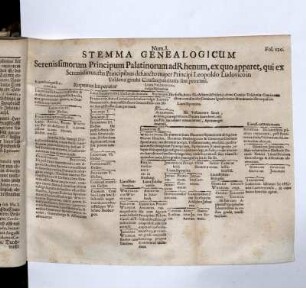 Gefaltetes Bl. zu Bl. 120: Num I. Stemma Genealogicum Serenissimorum Principum Palatinorum ad Rhenum ...
