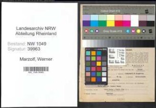 Entnazifizierung Werner Marzolf , geb. 16.06.1906 (Kaufmann)