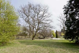 Victoriapark; Kronberg, Kaiser-Friedrich-Park, Winkelbach, Schönberger Feld, Rosenthal, Hainstraße 28, Friedrichstraße 99