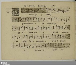 VII. Jachet de Mantua: Salvum me fac Domine