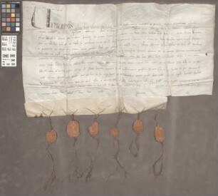 Mainz (St. Jakobsberg): Indulgentiae pro Monast. St. Jacobi in Monte speccioso prope muros Mogunt.
