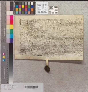 Derselbe bezeugt den Rentenverkauf des Gerdt Volcker jun. an Abt Johann und das Kloster Marienfeld aus dem Garten Schreyvynck zu Harsewinkel.